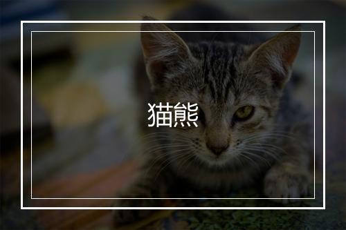 猫熊