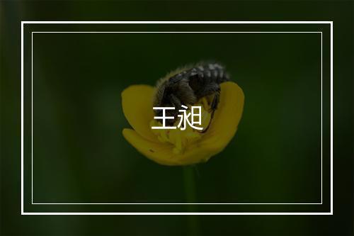 王昶