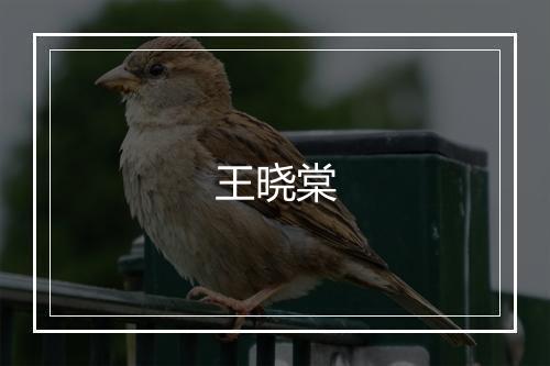 王晓棠