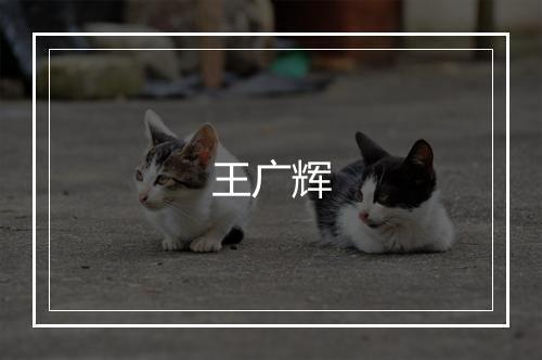 王广辉