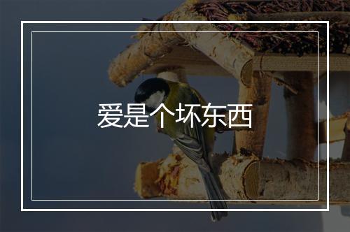 爱是个坏东西