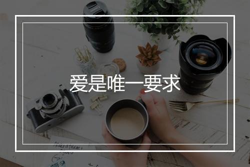 爱是唯一要求