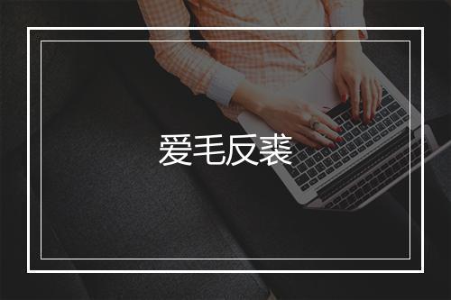 爱毛反裘