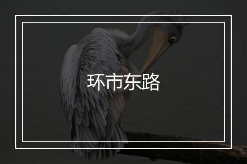 环市东路