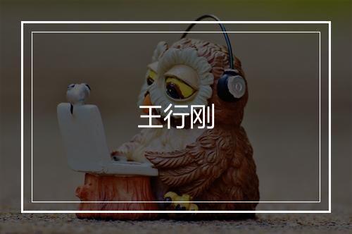 王行刚