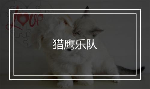 猎鹰乐队