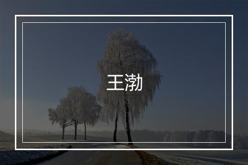 王渤