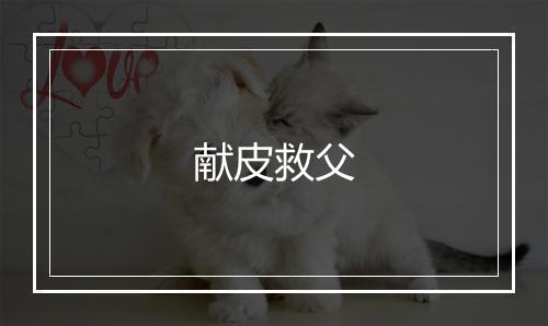 献皮救父