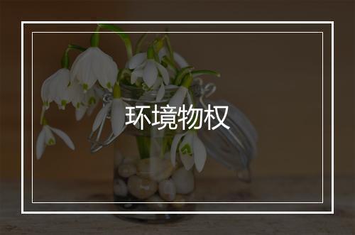 环境物权