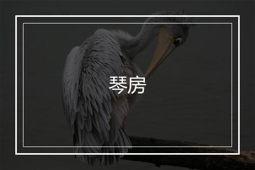 琴房