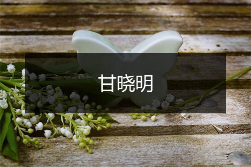 甘晓明