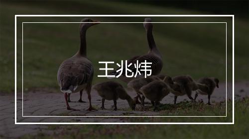 王兆炜