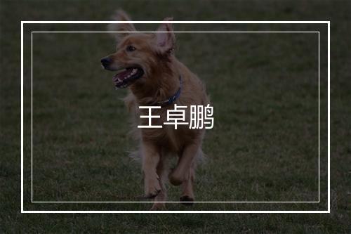 王卓鹏