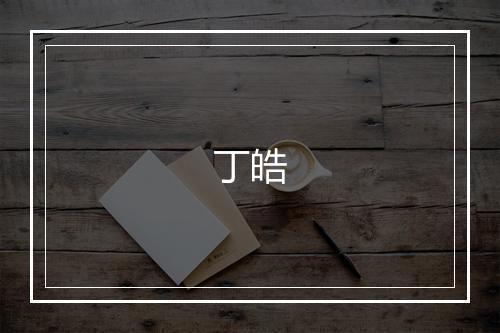 丁皓