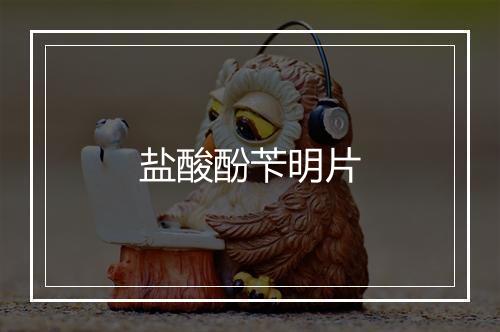 盐酸酚苄明片