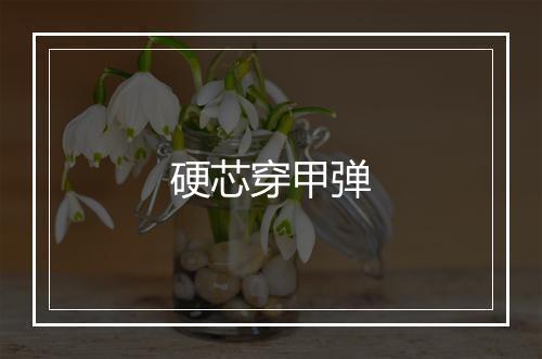 硬芯穿甲弹