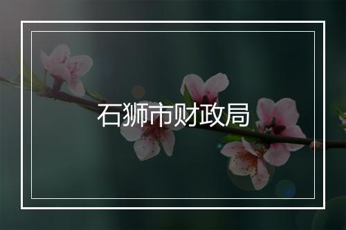 石狮市财政局