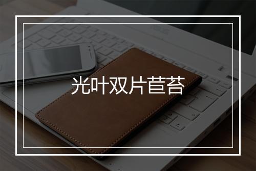 光叶双片苣苔