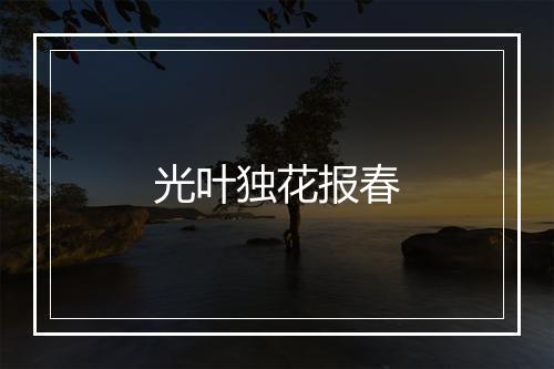 光叶独花报春