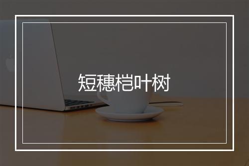 短穗桤叶树