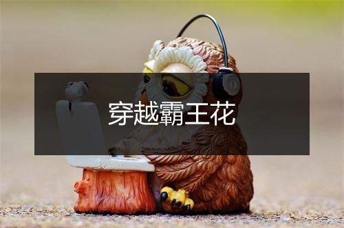 穿越霸王花