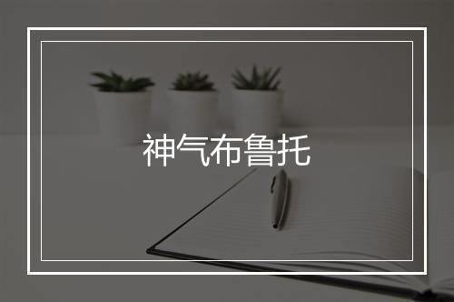 神气布鲁托