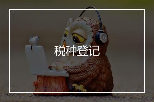 税种登记