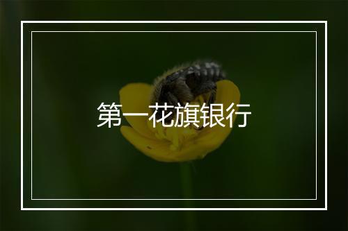 第一花旗银行