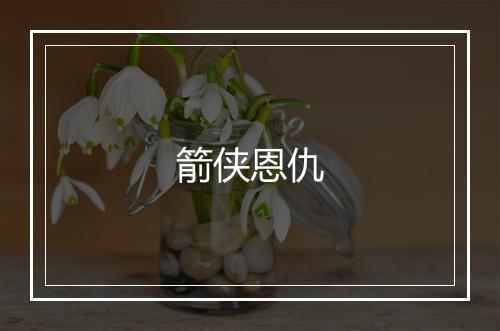 箭侠恩仇