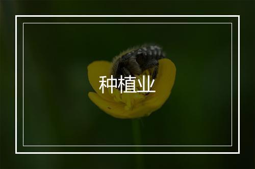 种植业