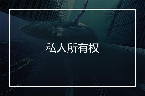 私人所有权