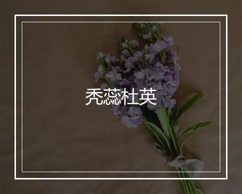 秃蕊杜英