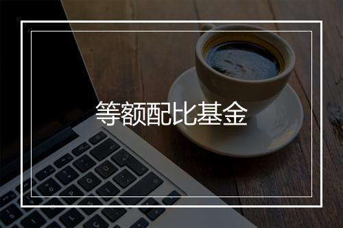 等额配比基金