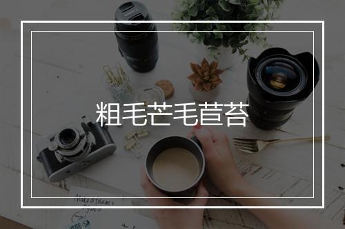 粗毛芒毛苣苔