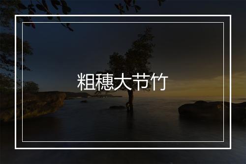 粗穗大节竹