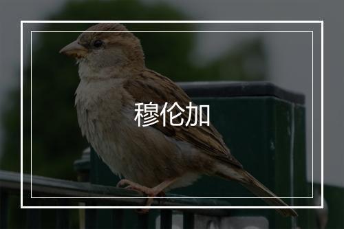 穆伦加