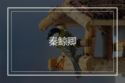 秦鲸卿