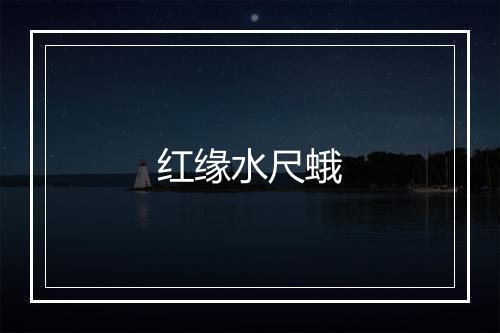 红缘水尺蛾