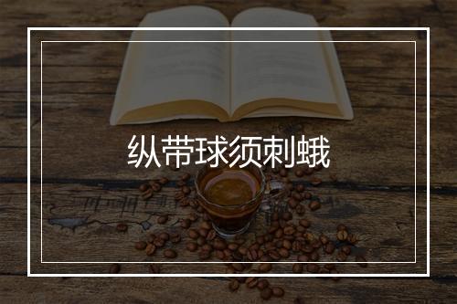 纵带球须刺蛾