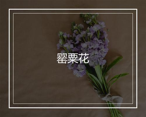 罂粟花