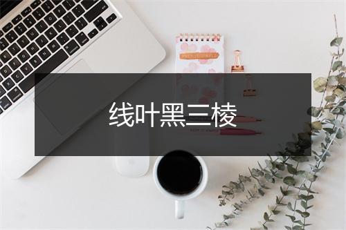 线叶黑三棱