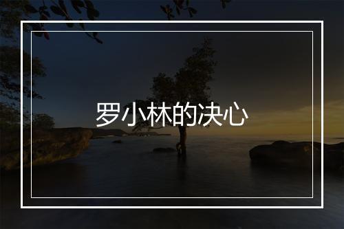 罗小林的决心