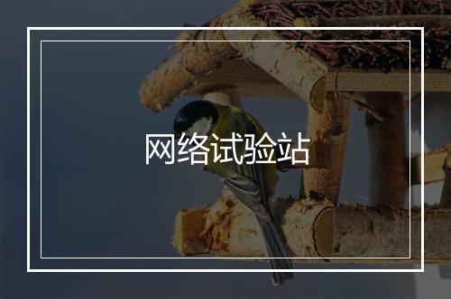 网络试验站