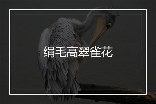 绢毛高翠雀花