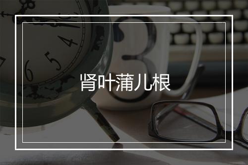 肾叶蒲儿根