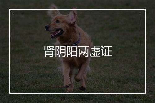 肾阴阳两虚证