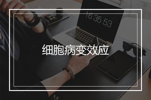 细胞病变效应