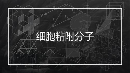 细胞粘附分子