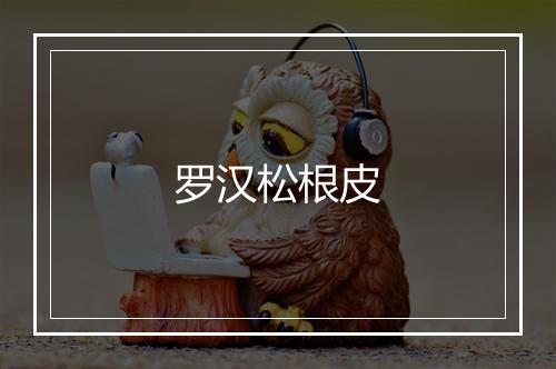 罗汉松根皮