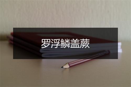 罗浮鳞盖蕨